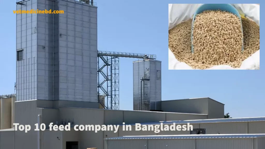 feed company in Bangladesh