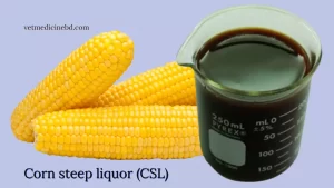 Corn steep liquor (CSL)