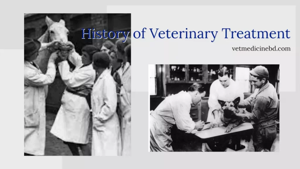 History of Veterinary Treatment
