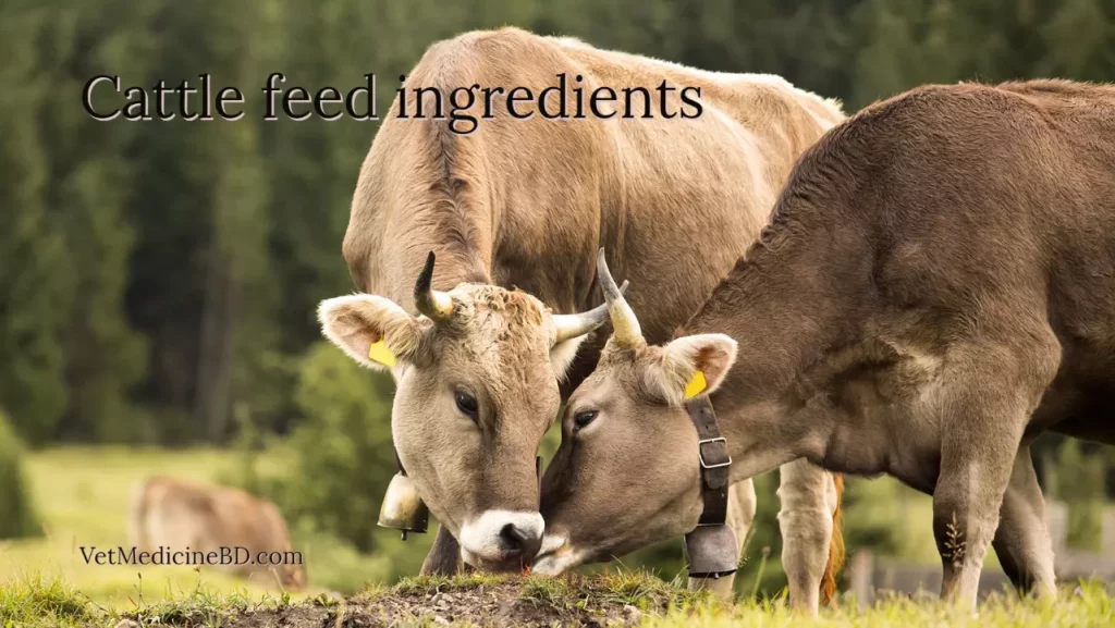 Cattle feed ingredients