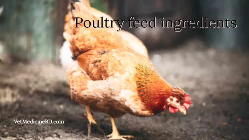 Poultry Feed Ingredients