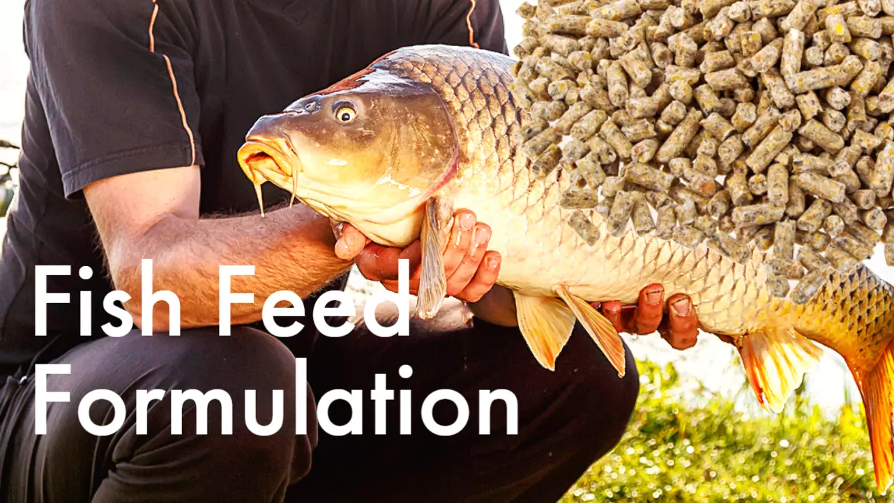 Fish feed formulation and manufacturing prosses