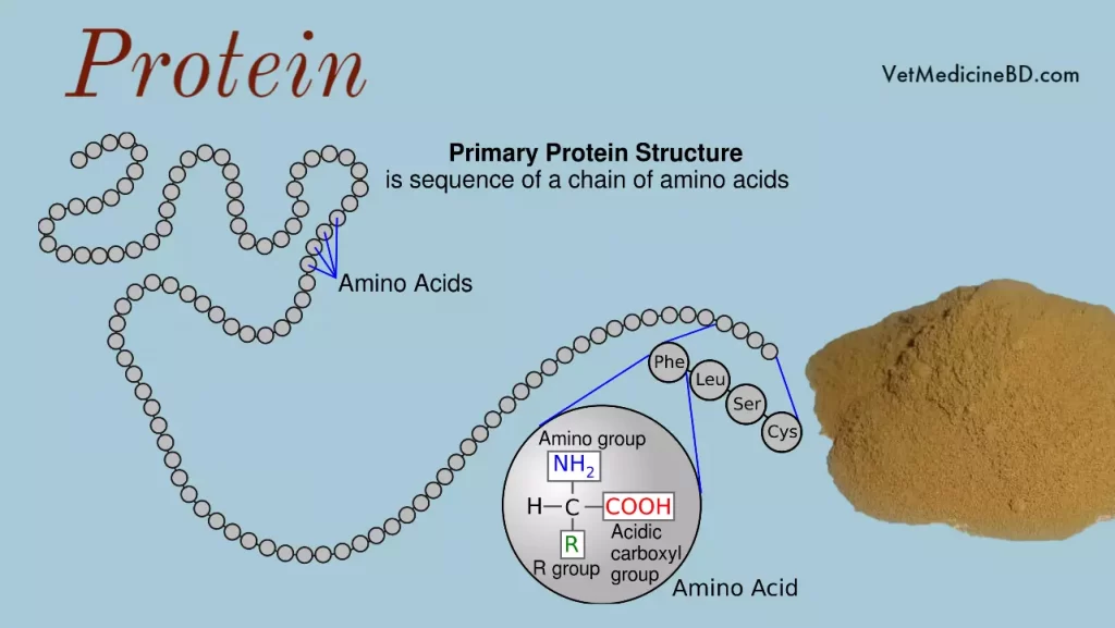 Proteins for animals