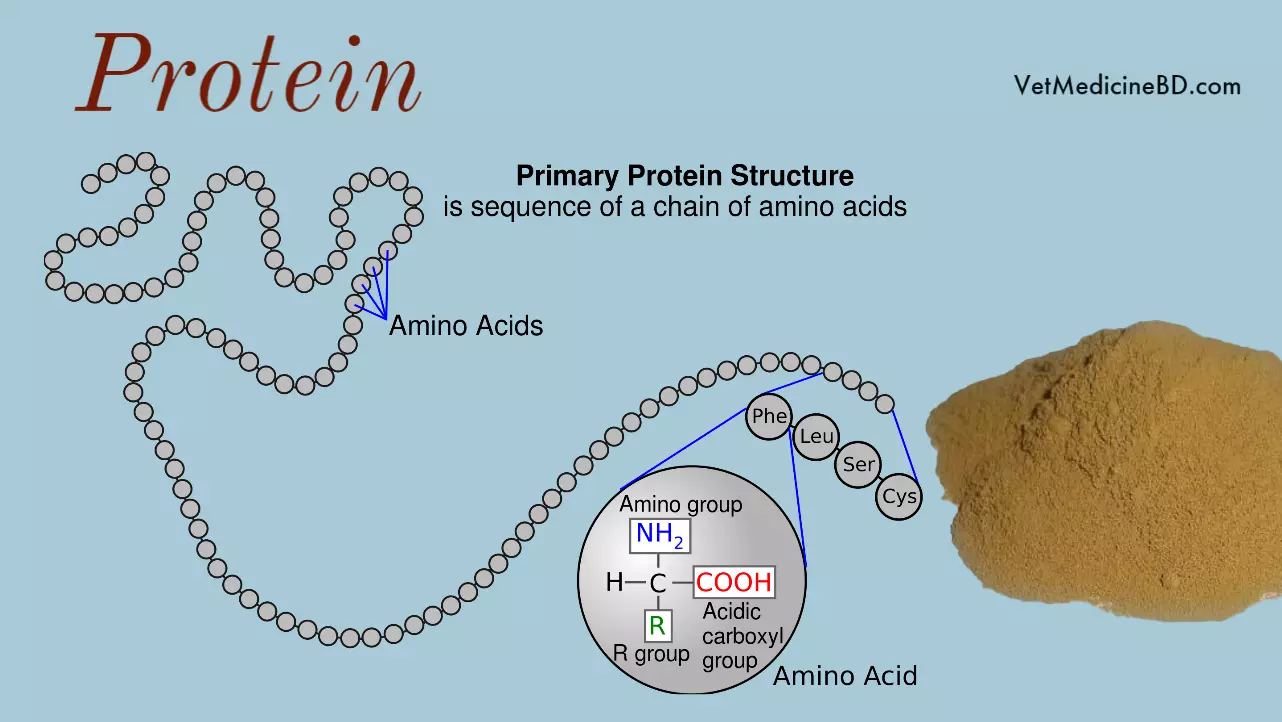 Proteins for animals & fish