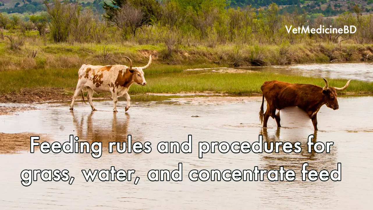 Feeding rules and procedures for grass, water, and concentrate feed
