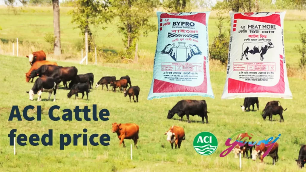 ACI Cattle Feed Price in Bangladesh