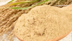 Rice bran for animal feed