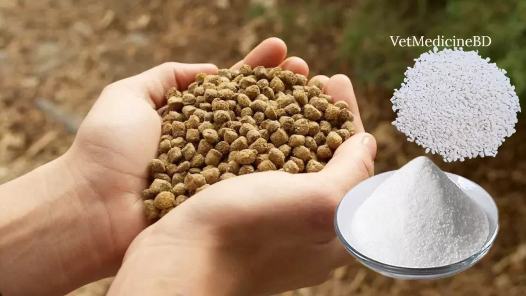 Animal feed supplements and additives