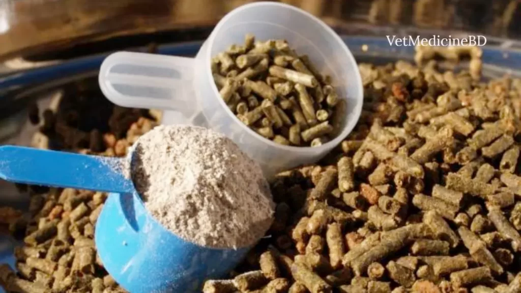 Nutrition of animal feed and its functions » VetMedicineBD
