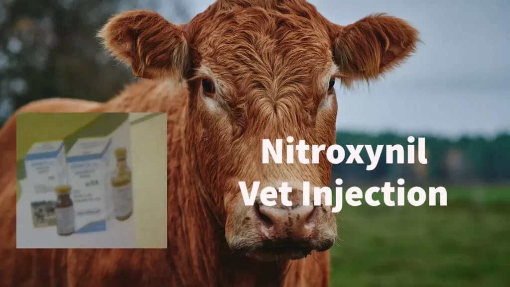 Nitroxynil Vet Injection