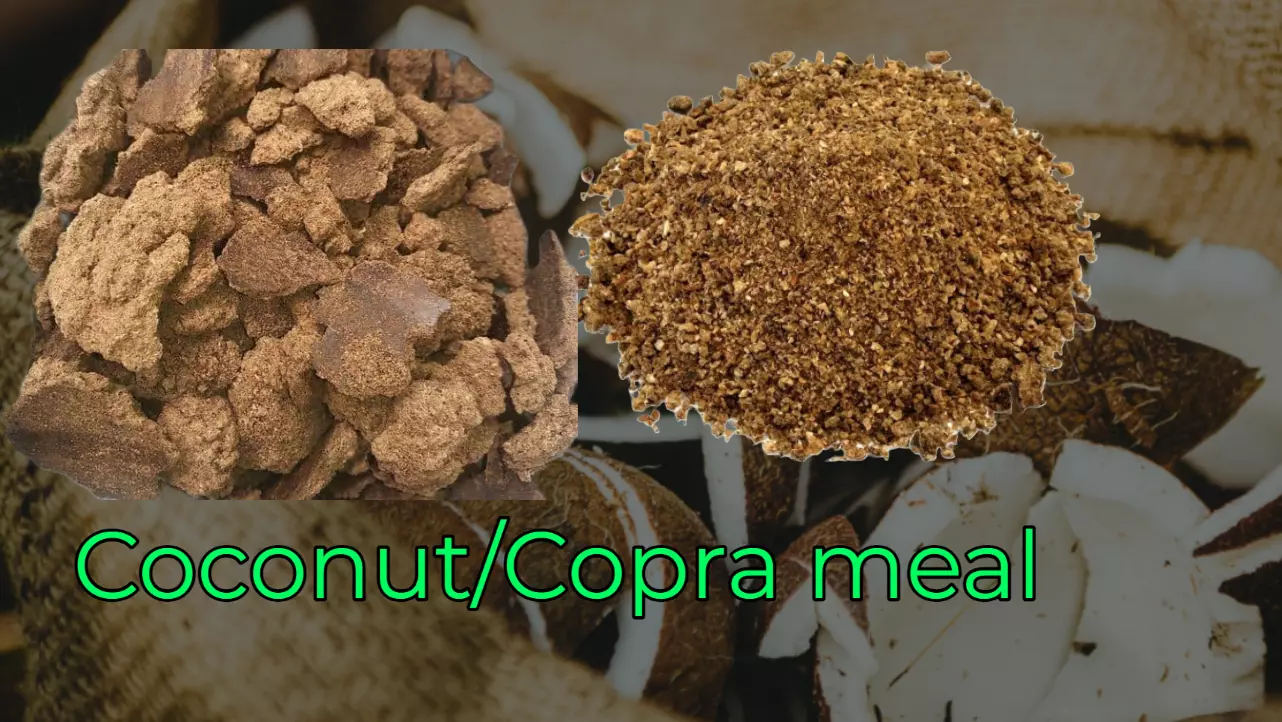 Coconut/Copra meal